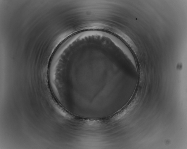 X0000101390850200807280936