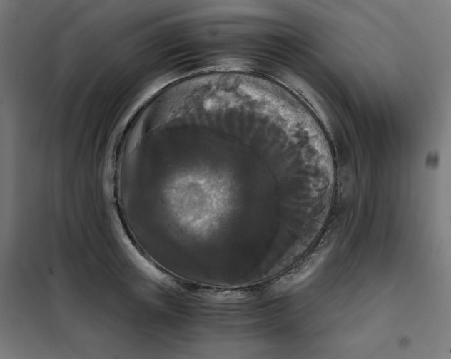 X0000101390851200807280936