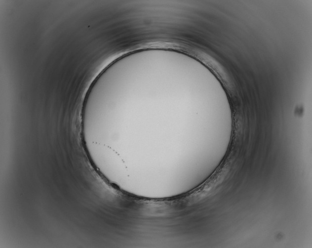 X0000101390852200807280936