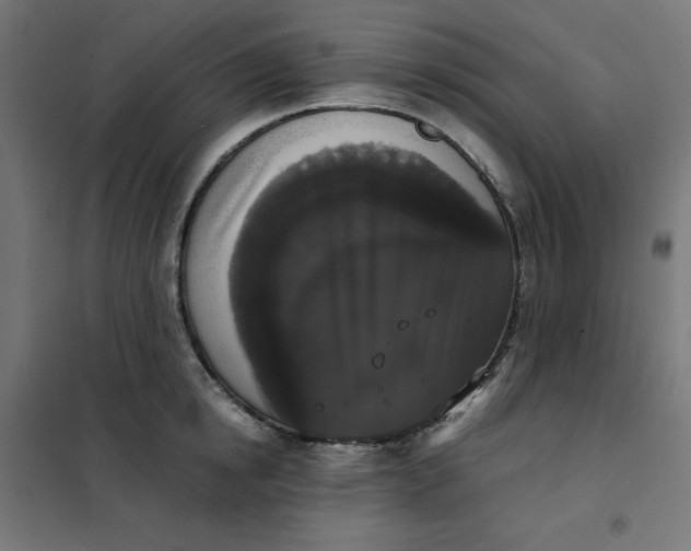 X0000101390854200807280936