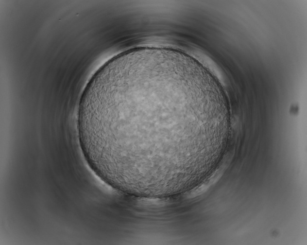 X0000101390855200807280936