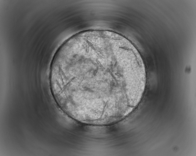 X0000101390856200807280936