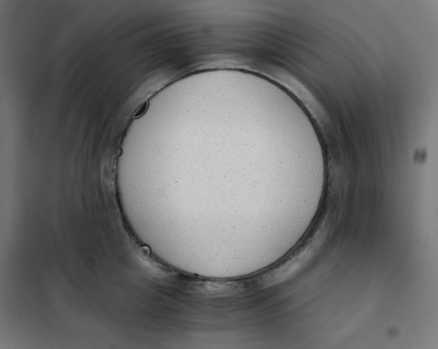 X0000101390857200807280936