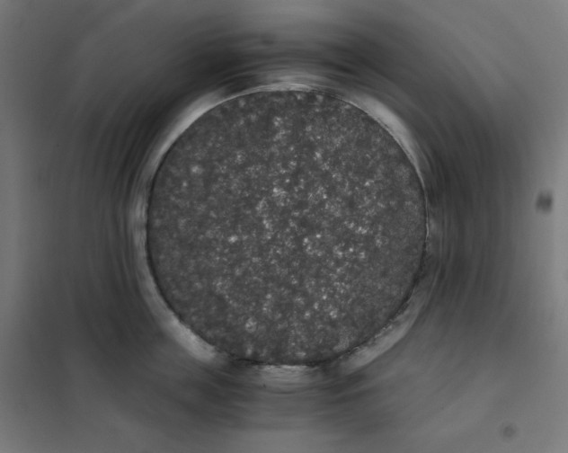 X0000101390859200807280936
