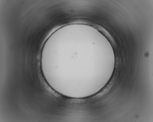 X0000101390860200807280936
