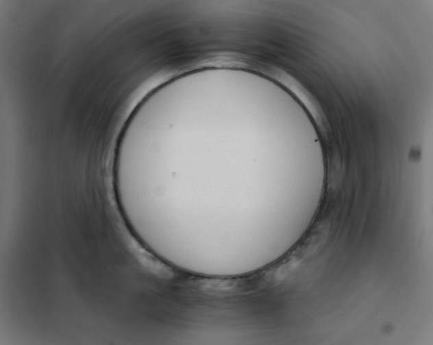 X0000101390861200807280936