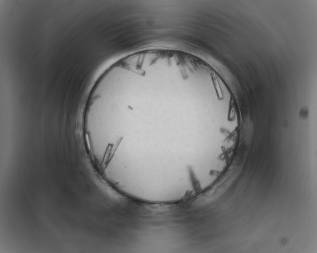 X0000101390862200807280936