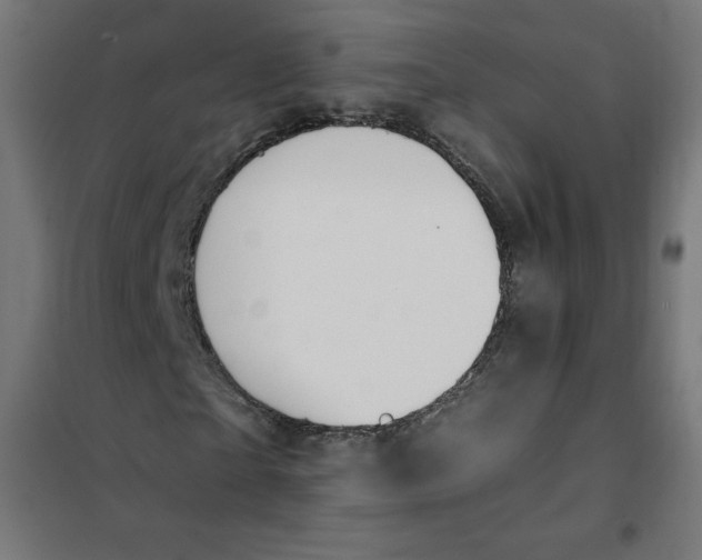 X0000101390865200807280935