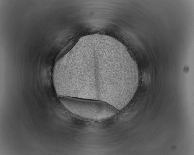 X0000101390868200807280935