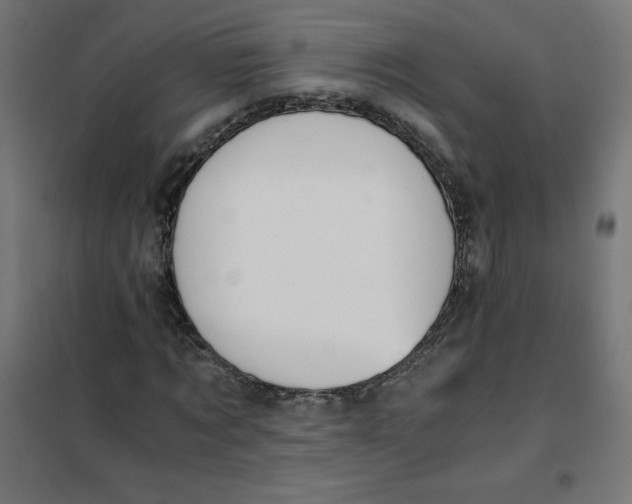 X0000101390869200807280935