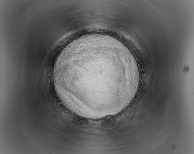 X0000101390870200807280935