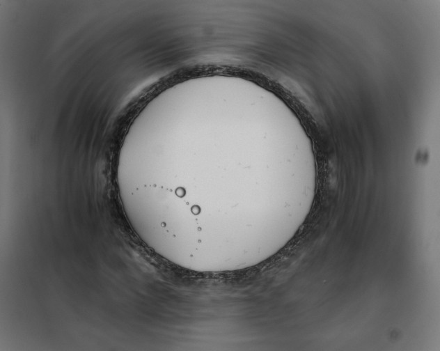 X0000101390872200807280935