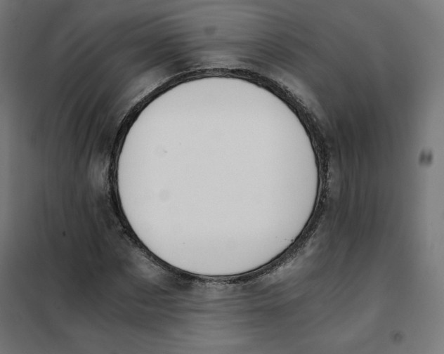 X0000101390873200807280935