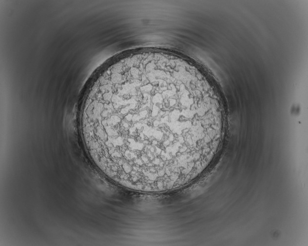 X0000101390875200807280935