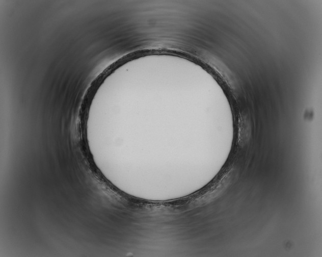 X0000101390876200807280935