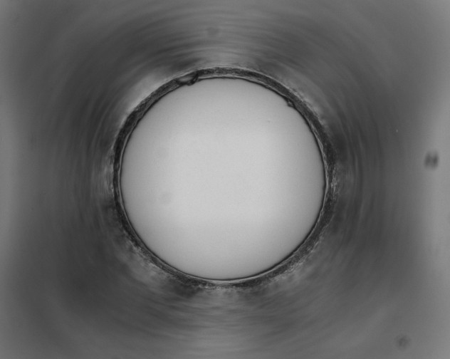 X0000101390877200807280935