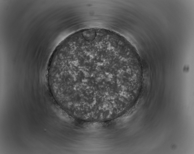 X0000101390879200807280935