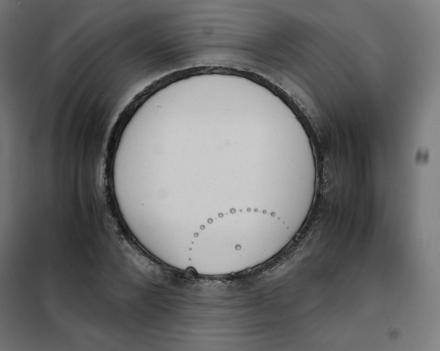 X0000101390880200807280935
