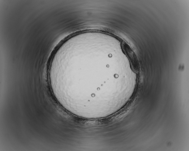 X0000101390883200807280935