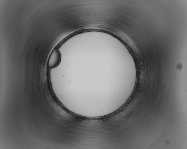 X0000101390884200807280935