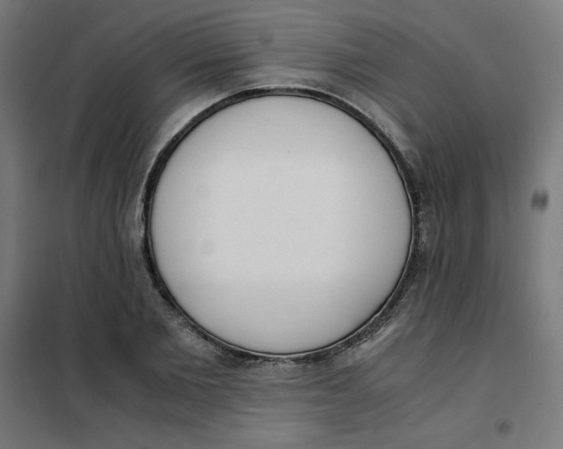X0000101390885200807280935