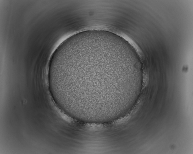 X0000101390886200807280935