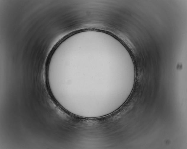 X0000101390888200807280935