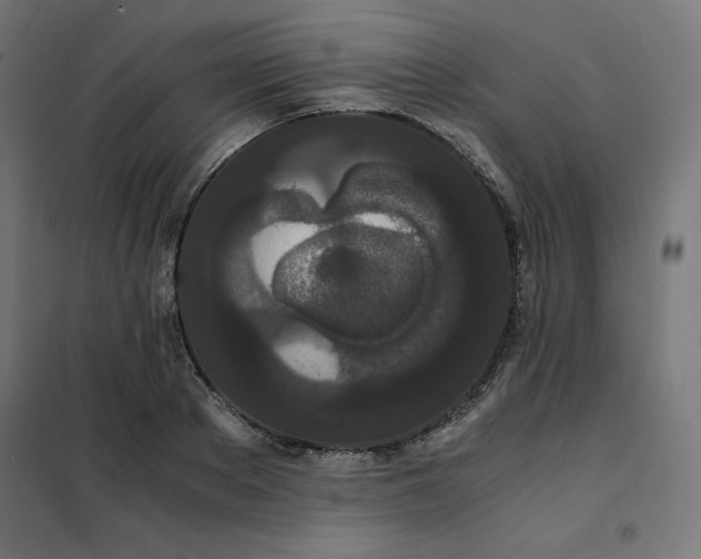 X0000101390889200807280935