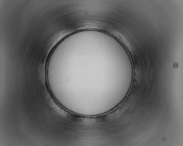 X0000101390890200807280935