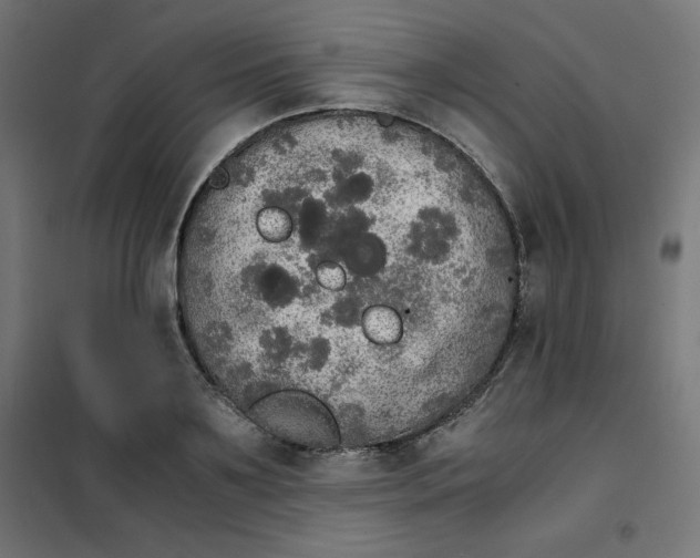 X0000101390891200807280935