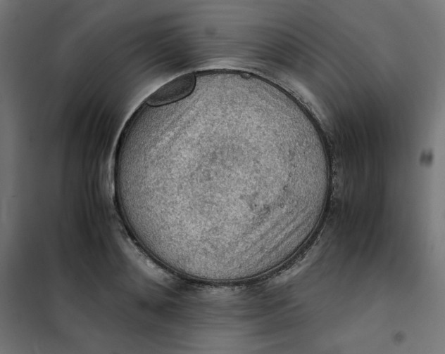 X0000101390892200807280935