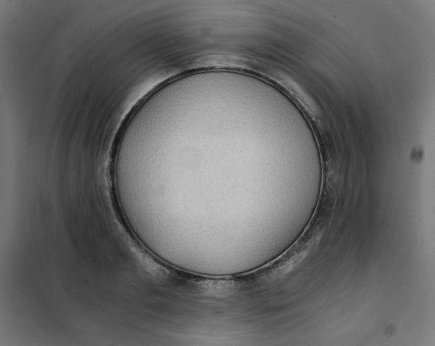 X0000101390893200807280935