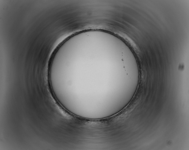 X0000101390894200807280935