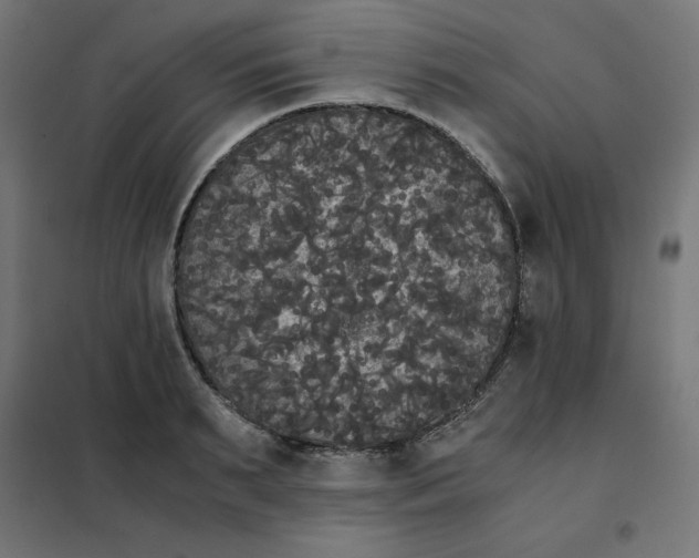X0000101390895200807280935