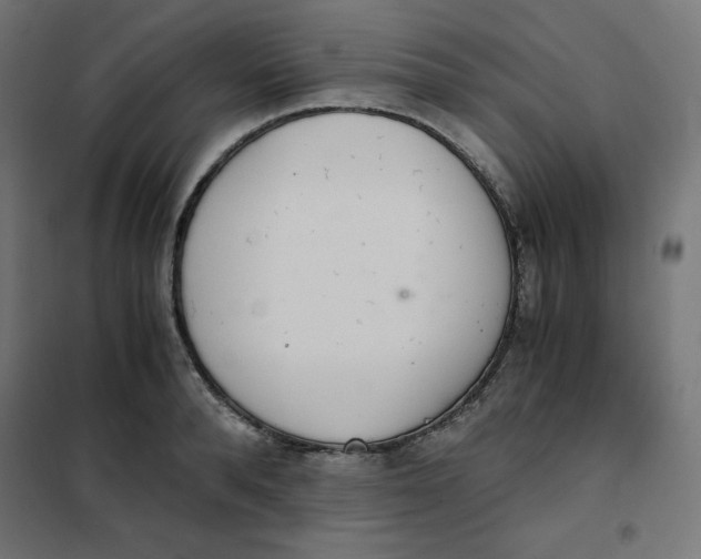 X0000101390896200807280935