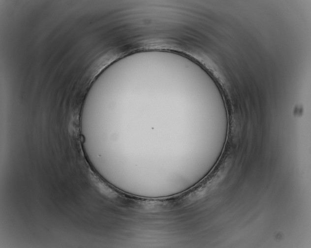 X0000101390897200807280935