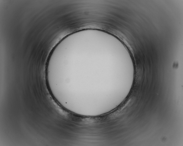 X0000101390898200807280935
