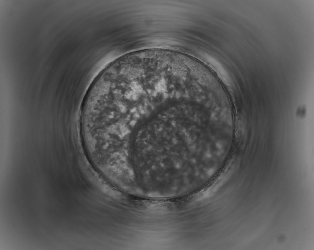 X0000101390899200807280935