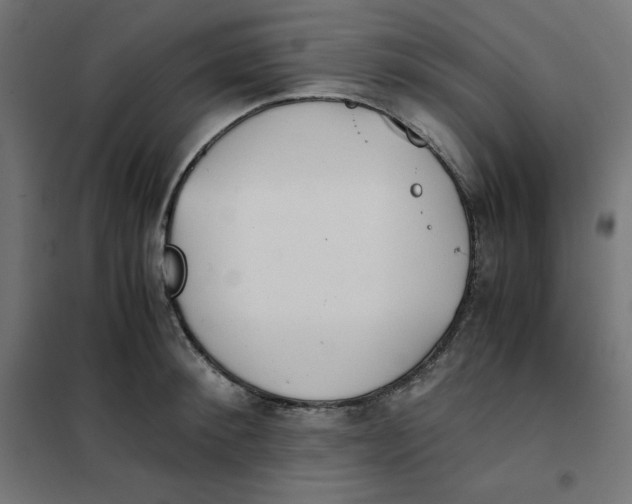 X0000101390900200807280935