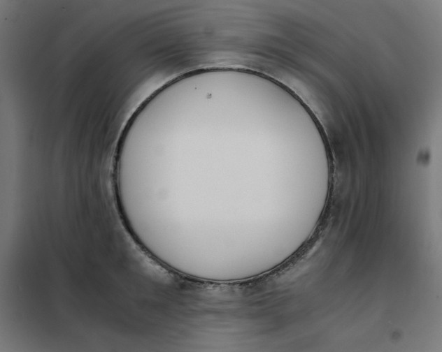 X0000101390901200807280935