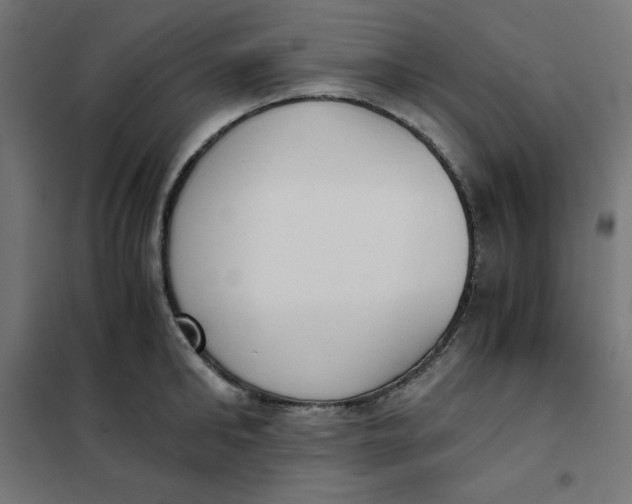X0000101390902200807280935