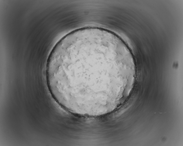 X0000101390903200807280935