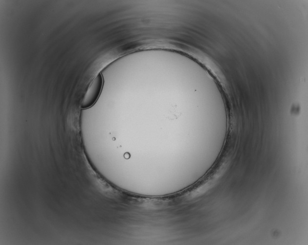 X0000101390905200807280935