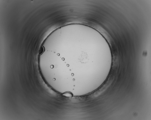 X0000101390906200807280935