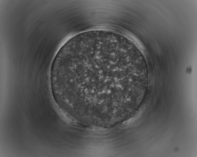 X0000101390907200807280935