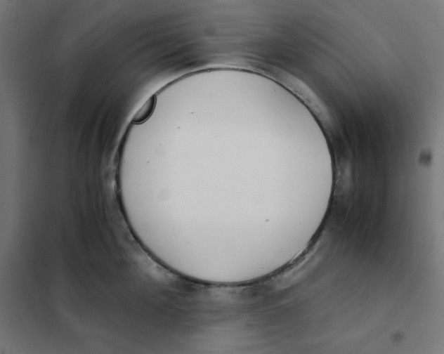 X0000101390908200807280935