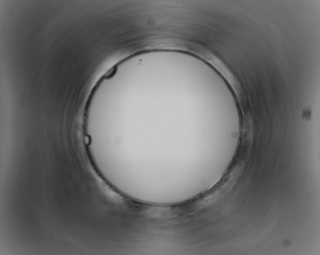 X0000101390909200807280935