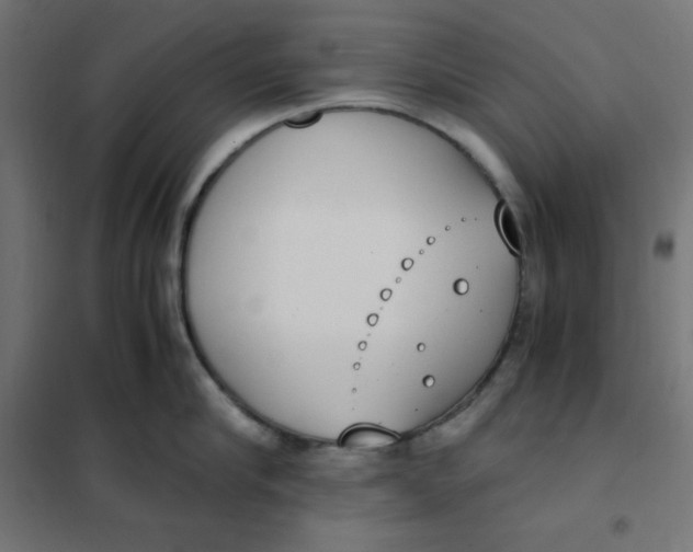 X0000101390910200807280935