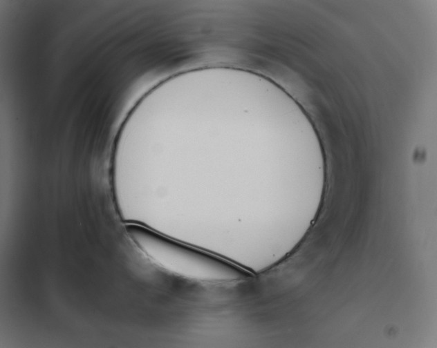 X0000101390912200807280935