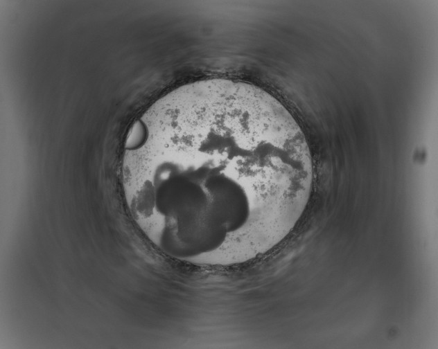 X0000101390913200807280934